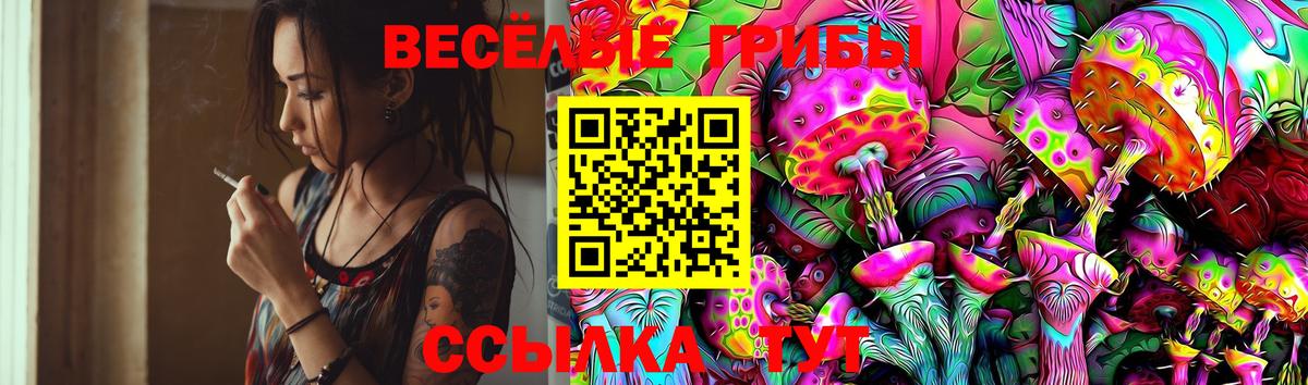 Галлюциногенные грибы Magic Shrooms  Вход с VPN  Галлюциногенные грибы GOLDEN TEACHER  Качканар 